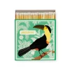 Archivist Ariane's Toucan Match Box