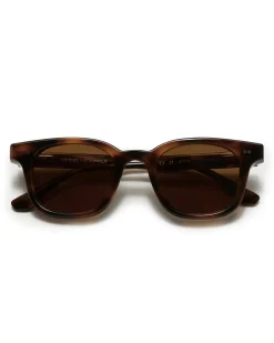 CHIMI 02 Tortoise