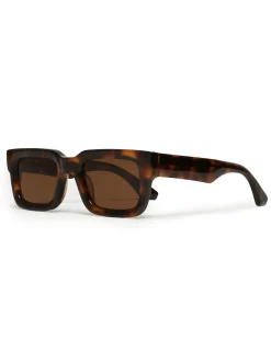 CHIMI 05 Tortoise