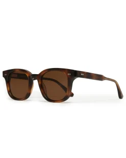 CHIMI 02 Tortoise