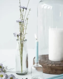 Clarity Vase