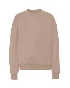 Colorful Standard Organic Oversized Crew Honey Beige