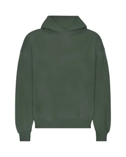 Colorful Standard Organic Oversized Hood Midnight Forest