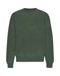 Colorful Standard Organic Oversized Crew Midnight Forest