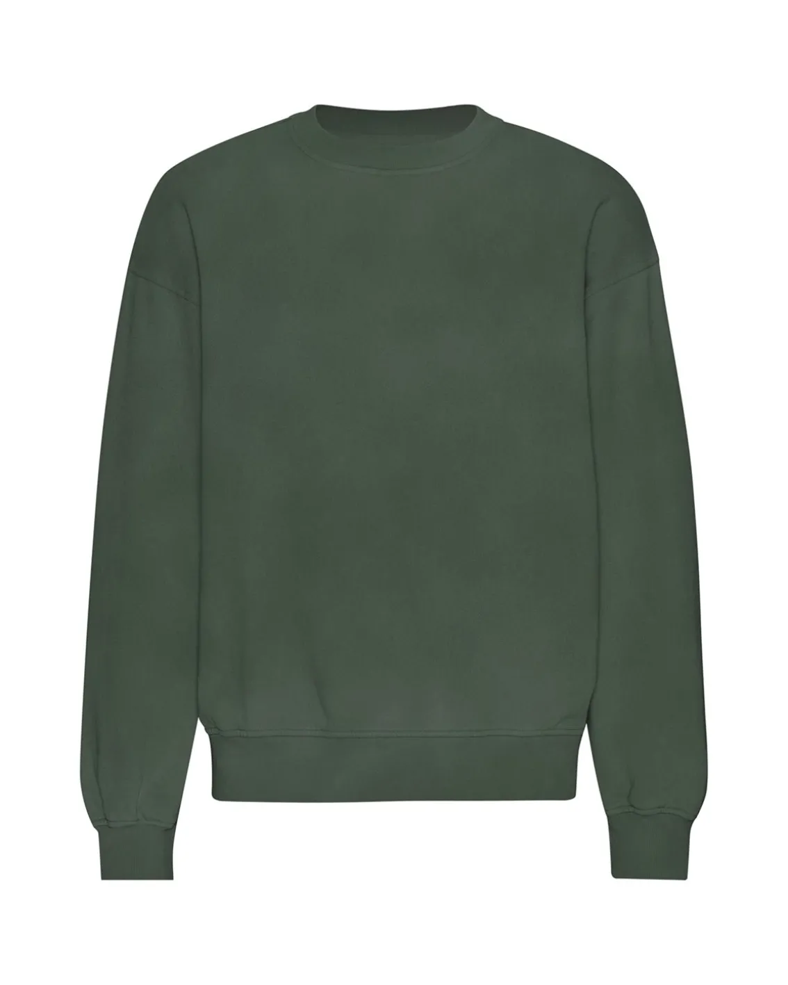 Colorful Standard Organic Oversized Crew Midnight Forest