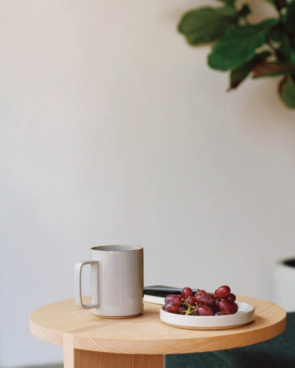 Hasami Mug Gloss Gray