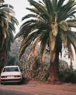 HK Living Photo Art 'Benz' By Tim Buiting