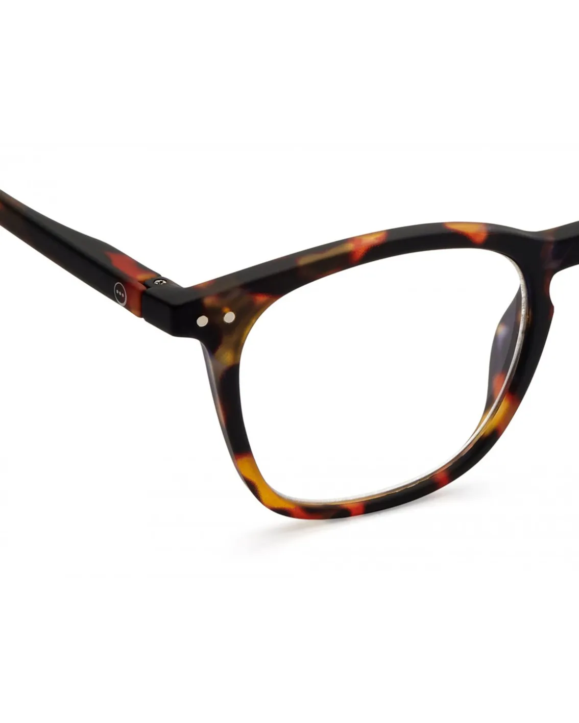 IZIPIZI #E Reading Tortoise Soft