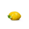 Lemon Bowl With Lid Yellow
