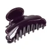 Pico Giant Elly Crystal Claw Eggplant