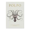 Polpo