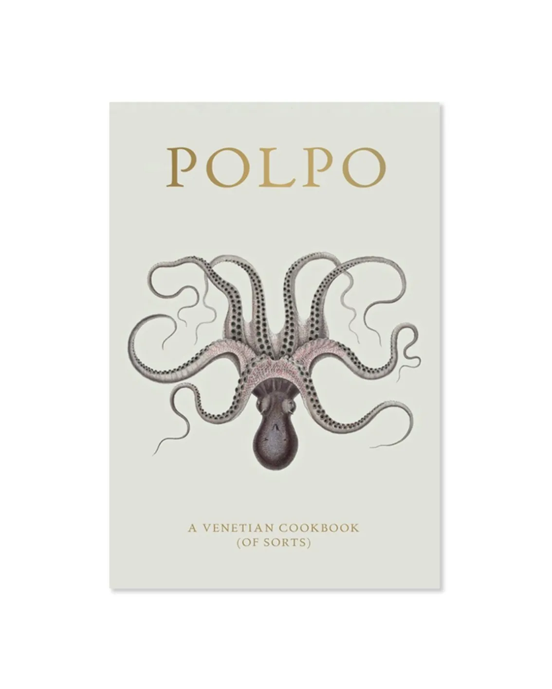Polpo