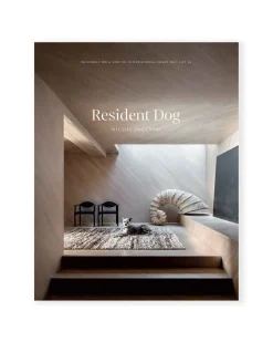 Resident Dog