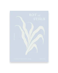 Rot Till Själk
