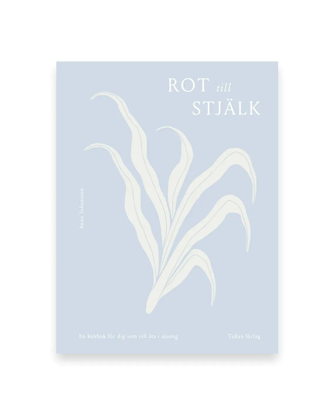 Rot Till Själk