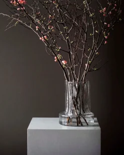 Tell me More Vienna Vase Clear